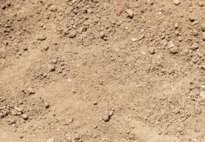 Coastal Virginia: Loose, Sandy Soils 